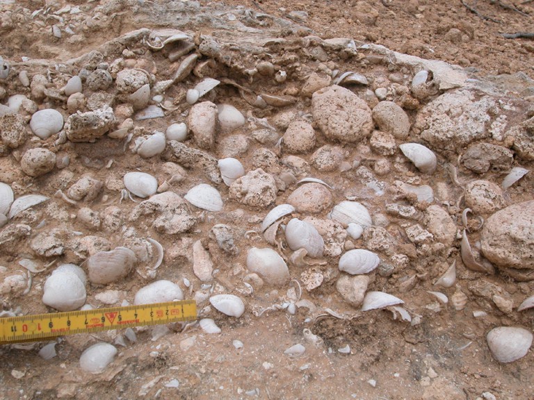 geologia di pianosa