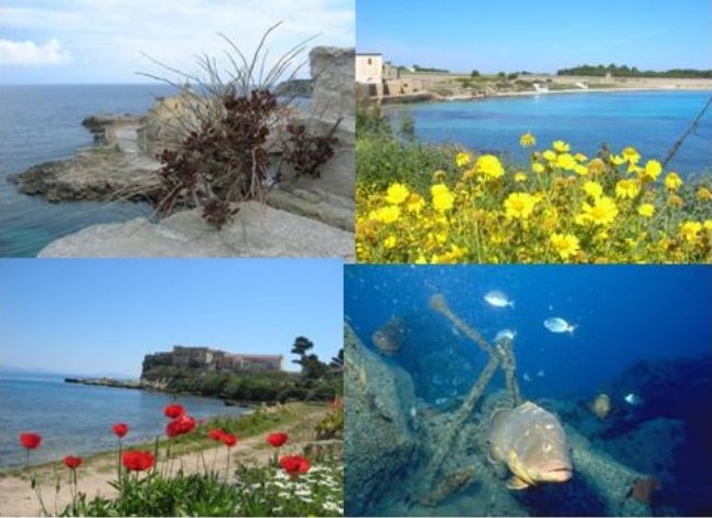 L'Associazione per la Difesa dell'Isola di Pianosa porta la sua mostra a Bruxelles
