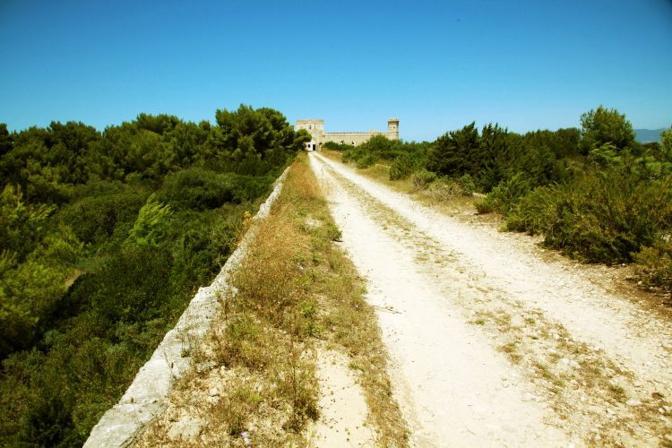 Pianosa - foto di Biancamaria Monticelli