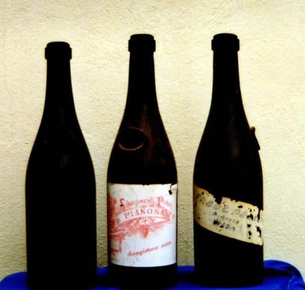 il ritorno al vino