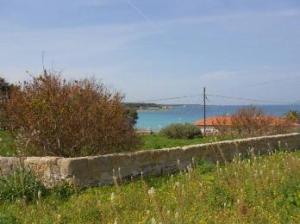 Pianosa - giardini