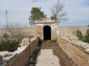 Pianosa - giardini