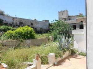 Pianosa - giardini