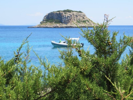 Un'imbarcazione nel mare protetto di Pianosa