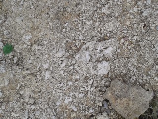 Fossili sotto i piedi