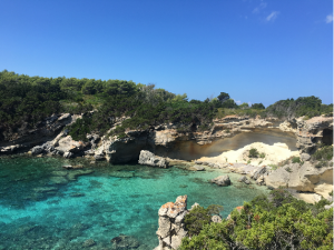 Cala del Bruciato - una delle tante calette visitabili durante le escursioni guidate sull'isola