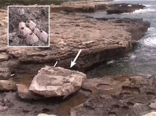 masso sulla spianata fra P.ta Secca e la Cala del Bruciato