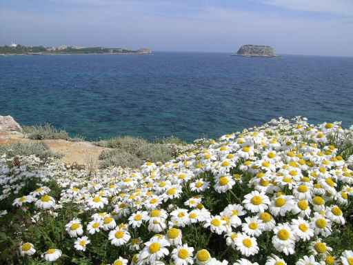 Il Parco apre il nuovo centro visite a Pianosa