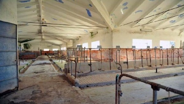 pianosa libera e bella