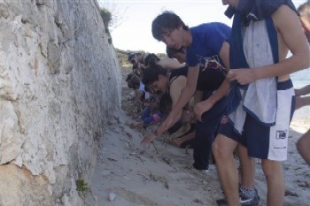 un momento della piantumazione