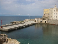 pianosa muore