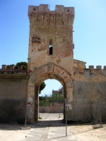 pianosa muore