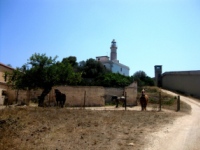 pianosa muore
