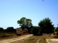 pianosa muore