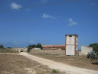 pianosa muore