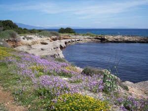 Pianosa - La costa