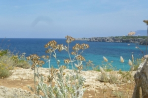 una giornata nell'isola piatta