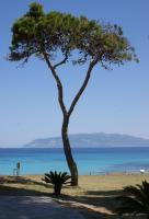 una giornata nell'isola piatta