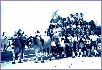 Pianosa - Festa dell'uva, fine anni '40