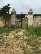 La dignit di un'isola