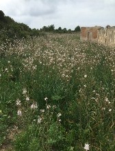 La dignit di un'isola