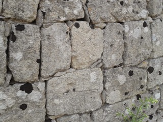 Muro con prevalenza di licheni 