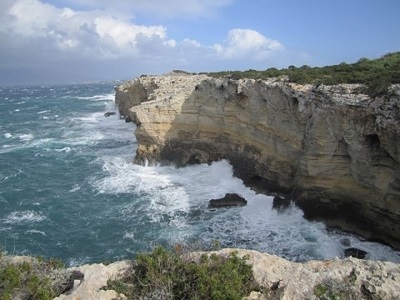 miracolo (in pericolo) dell'acqua a Pianosa